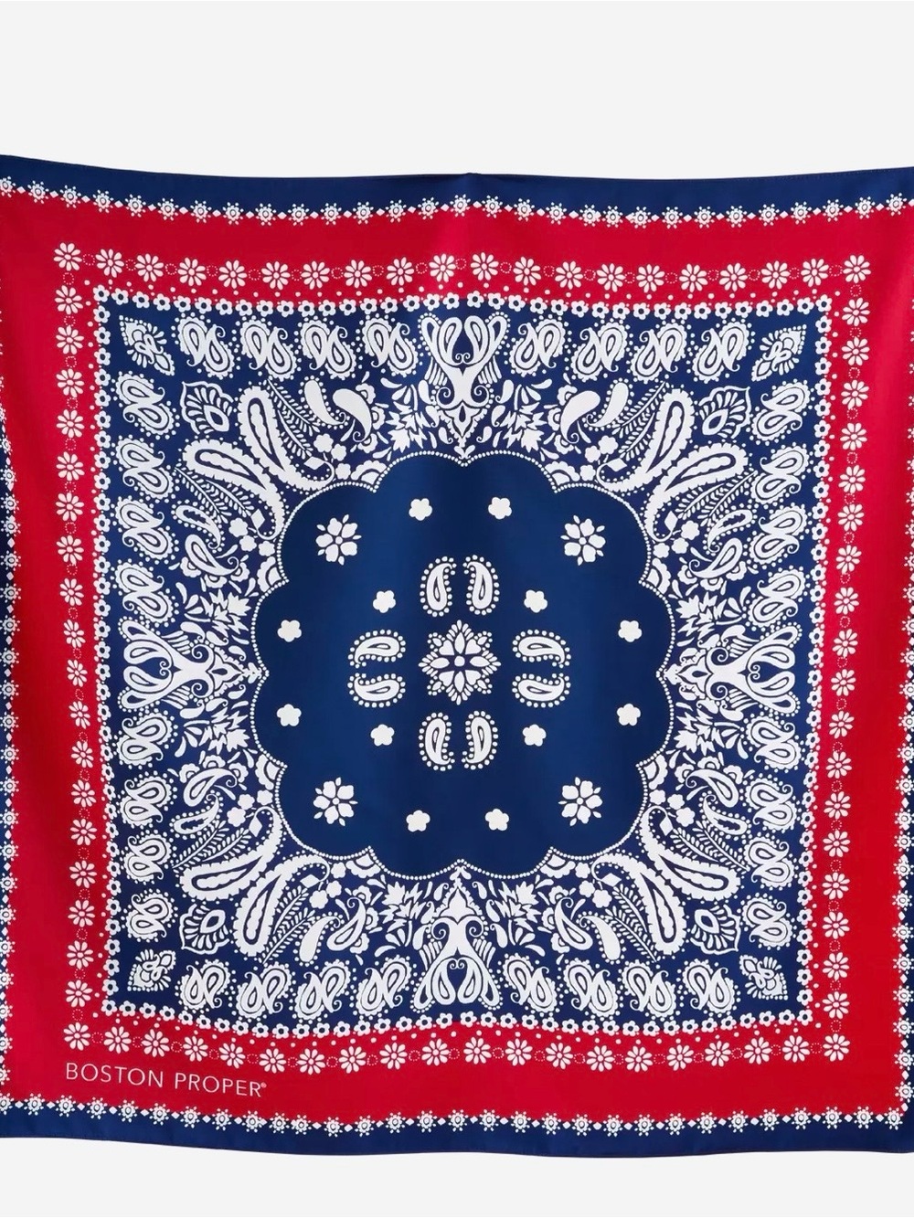 Boston Proper Printed Scarf in color Americana